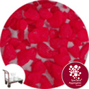 Aspen Flare - Day Glo Red - Click & Collect - 3946